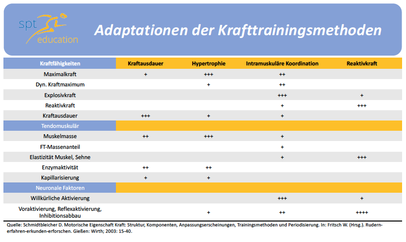 2019.06.24 Adaptationen im Krafttraining