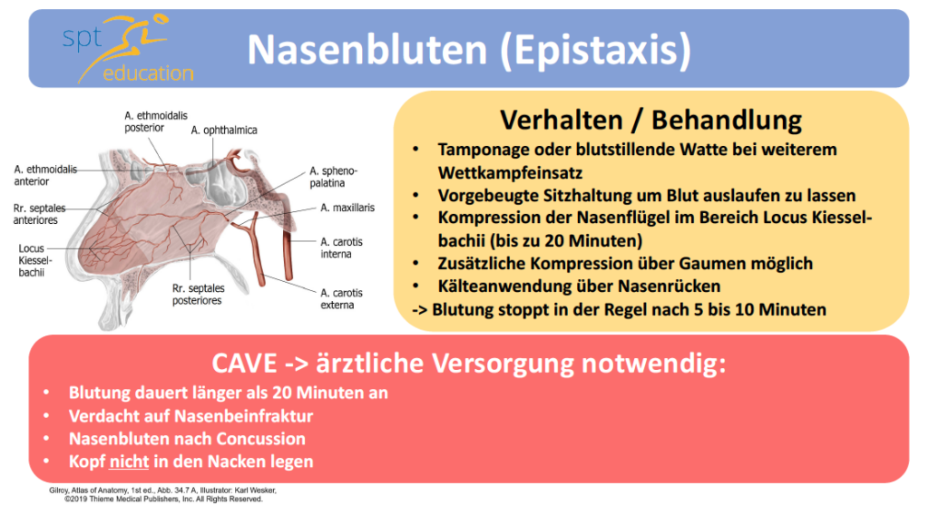 Nasenbluten 2